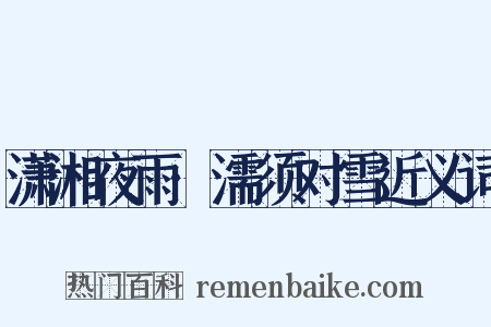 潇湘夜雨·濡须对雪近义词是什么意思的图片